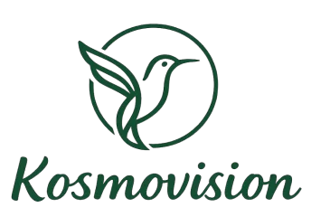 kosmovision - logo